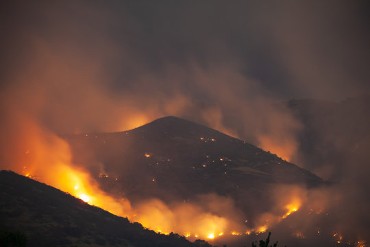 Wild fire