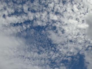 羊雲