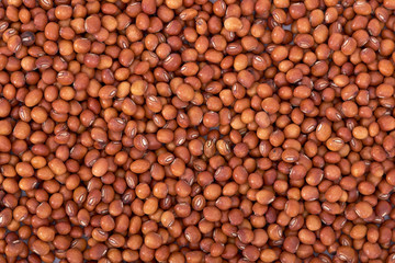 Whole Pigeon pea background
