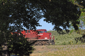 Tren, train