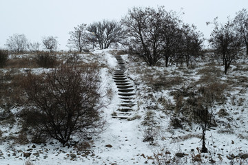 Winter landscape. - 289415458