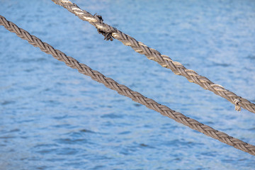 Two ropes stretched over the water.