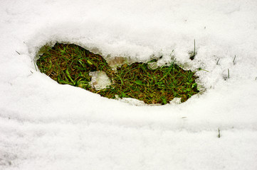 bigfoot made a footstep on the white snow and green grass are opened under the snowdrift