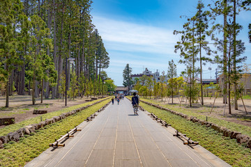 宮城 瑞巌寺 参道風景