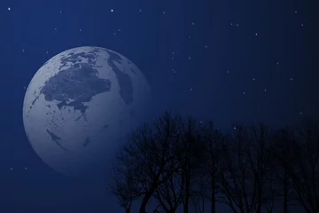 Crédence de cuisine en verre imprimé Pleine Lune arbre Image du ciel nocturne Avec des arbres et des étoiles, de grandes étoiles