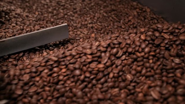 Closeup view of aromatic brown coffee beans rotating in cooler after roasting