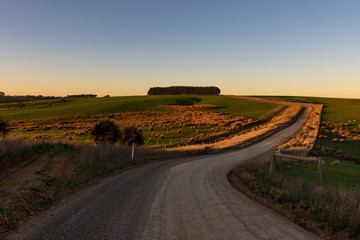 Fototapeta na wymiar Hills view at Sunset with green and hay bales, South Australia 2019