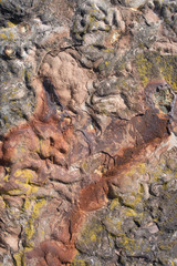 rock texture martian landscape
