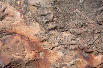 rock texture martian landscape