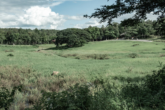 Beautiful view in Maepuem National Park