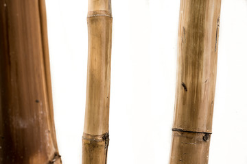 decorative bamboo logs with white background.