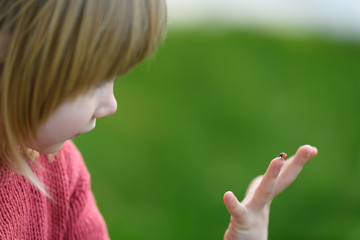 Marienkäfer auf Hand