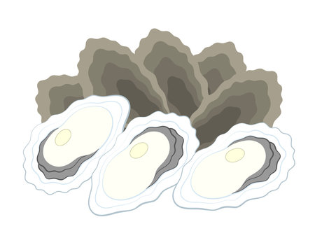 Oysters clip art preview