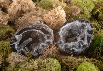 quartz geode in studio