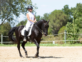 Fototapeta premium riding girl and horse