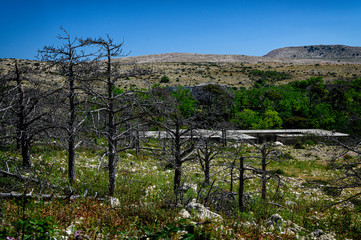 Abandoned building on Goli otok, political prison in ex Yugoslavia