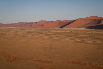 African dune 