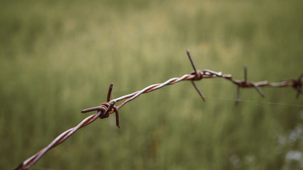 Barbed wire. Barbed wire on fence to feel worrying Concept
