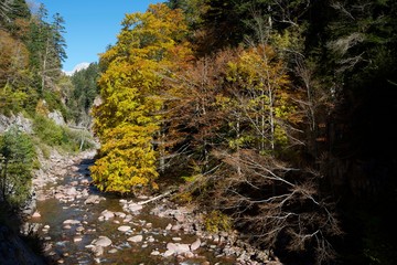 Autumn in the Pyrenees