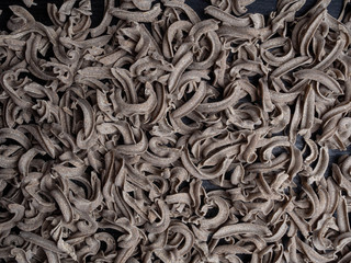Spelt pasta background, Wholegrain