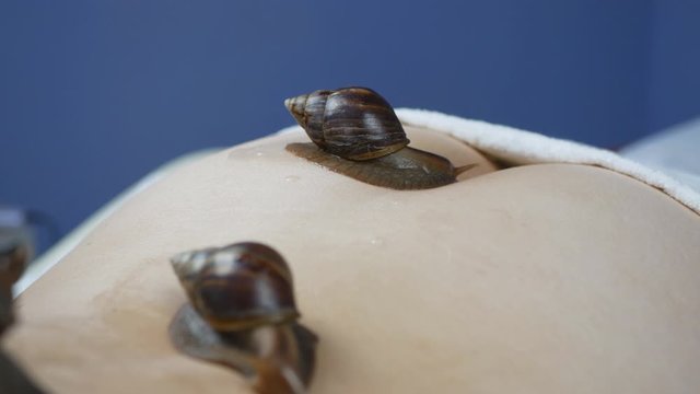 Large snails on the tailbone. The girl in the spa receives a massage of the tailbone with Achatina snails. Treatment with Achatina snails on the body of a woman with problem skin.