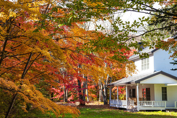 Karuizawa autumn scenery view, one of best-known resort villages in Japan. colorful tree with red,...