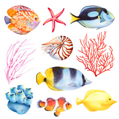 Set of coral reef animals. Sea anemone, nautilus, butterfly fish, starfish. Isolated watercolor illustration.