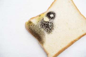 Moldy bread on wooden white background.