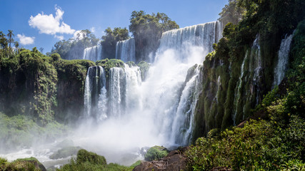 Fototapeta premium iguasu falls