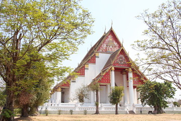Fototapeta premium temple in thailand