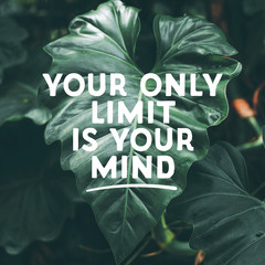 Inspirational Motivational quote "your only limit is your mind." on green leaf background.