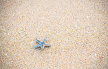 Blue starfish being washed waves on the beach beautiful dawn