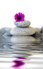 Pebble Stone Cairn With Flower And Water