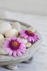 Fototapeta na wymiar Zen Flower Still Life With Pebble