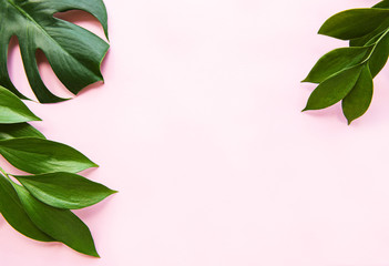Tropical leaves and monstera leaf © Olena Rudo