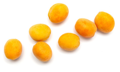 Fototapeta na wymiar Ripe apricot isolated on a white background