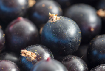 Ripe blackcurrant berries as a background