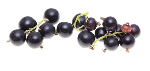 Ripe blackcurrant berries on a white background