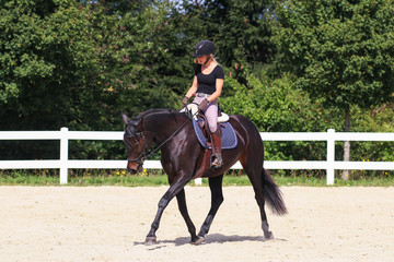 Horse in the riding arena in the portraits, with young rider in motion..