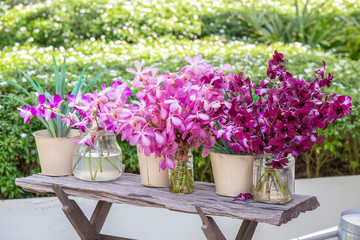 Beautiful lilac pink orchids in a vase in tropical garden, outdoors, nature concept. Exotic colorful orchid bouquet