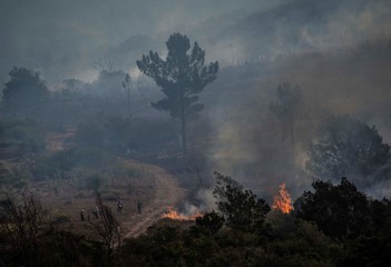 Fototapeta premium A bushfire in the Bergrivier area of South Africa