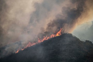 A bushfire in the Bergrivier area of South Africa