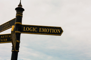 Text sign showing Logic Emotion. Business photo text Unpleasant Feelings turned to Self Respect...