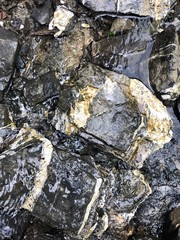 black and white stones are covered with water