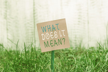 Writing note showing What Does It Mean question. Business concept for intended to communicate unclear statement Plain paper attached to stick and placed in the grassy land