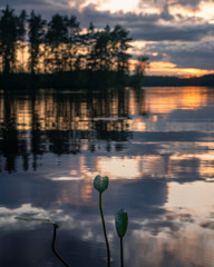 Midnight sun with water reflection at lake in Finland.