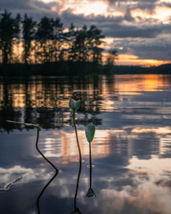 Midnight sun with water reflection at lake in Finland.