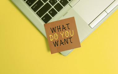 Writing note showing What Do You Want. Business concept for used for offering something to someone or asking their need Metallic trendy laptop blank sticky note empty text colored background