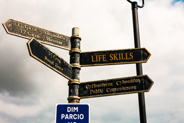 Writing note showing Life Skills. Business concept for skill that is necessary for full participation in everyday life Road sign on the crossroads with blue cloudy sky in the background
