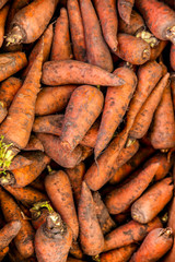 Heap of tasty ripe carrots